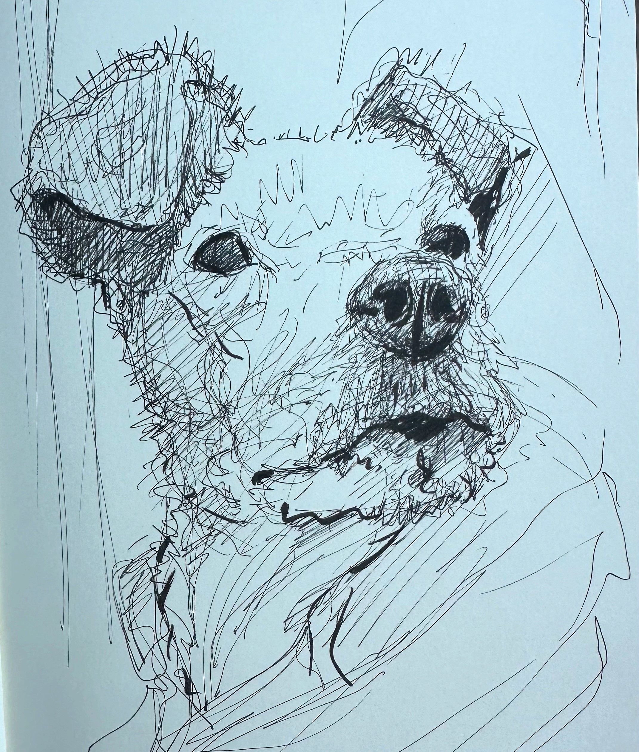 Dog Portrait
