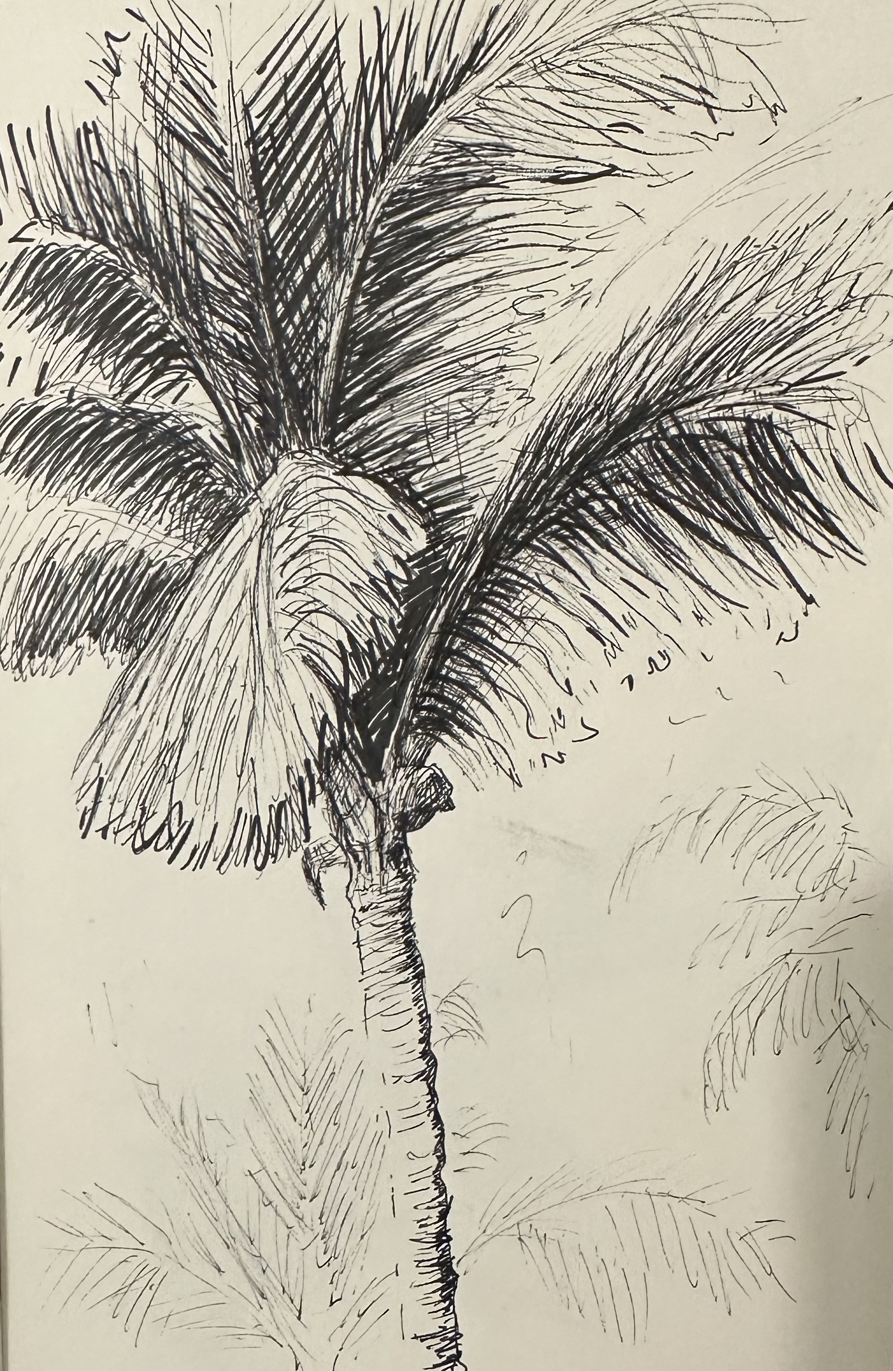Palm Tree I