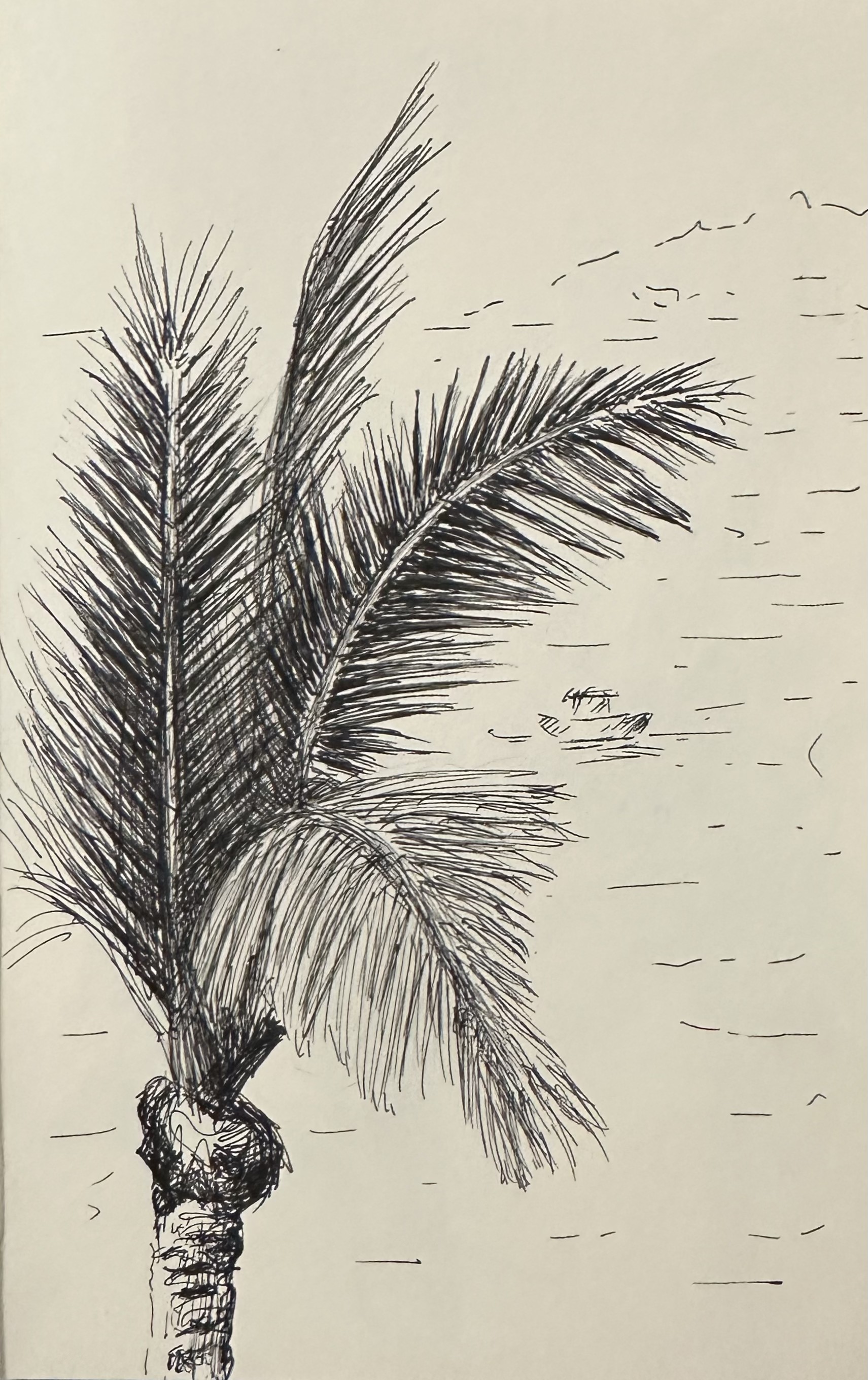 Palm Tree II